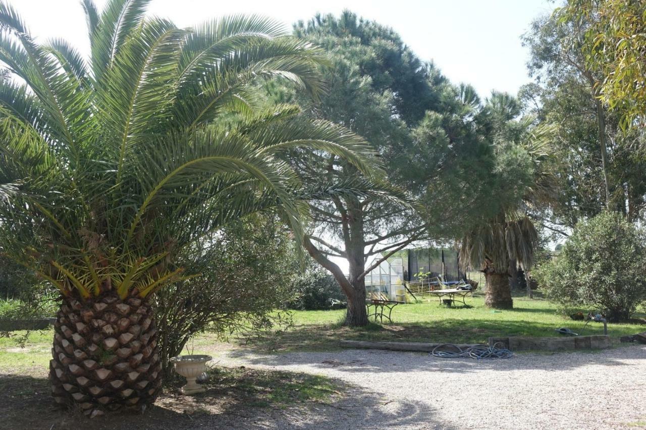 Mas Du Roc Villa Saint-Nazaire  Ngoại thất bức ảnh
